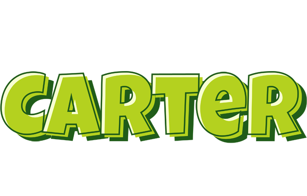 Carter summer logo