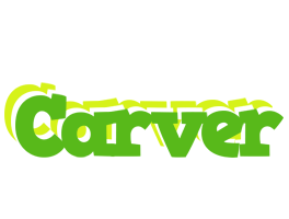 Carver picnic logo