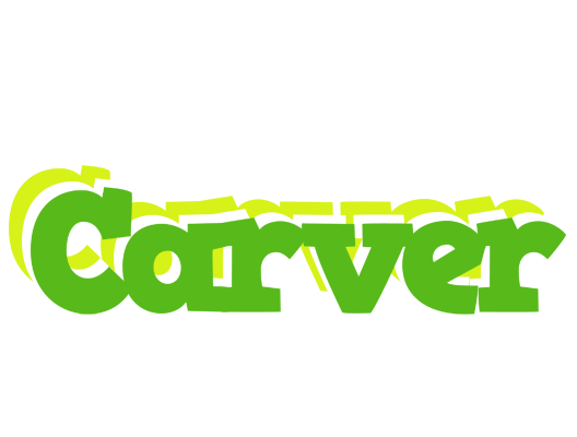 Carver picnic logo