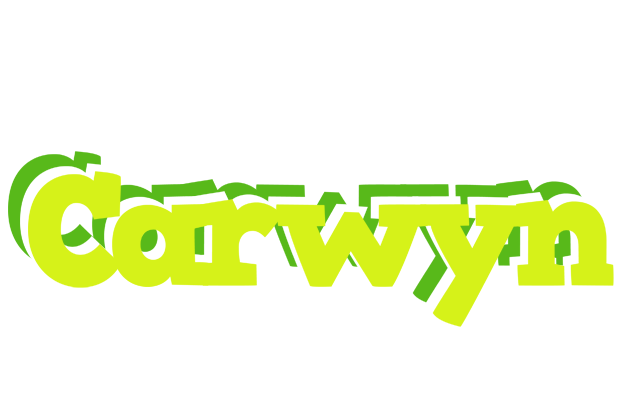 Carwyn citrus logo
