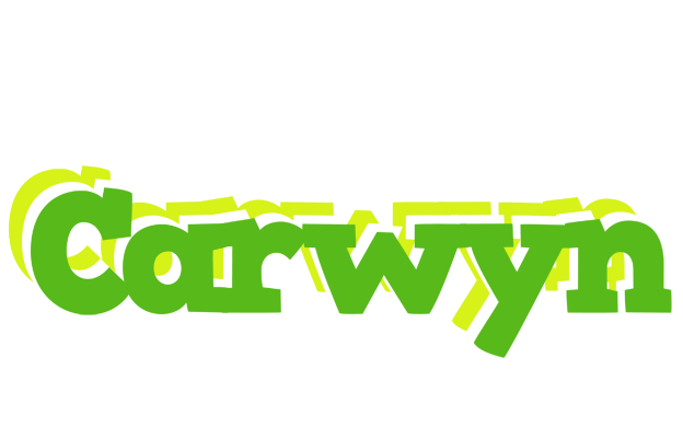Carwyn picnic logo