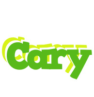 Cary picnic logo