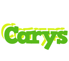 Carys picnic logo