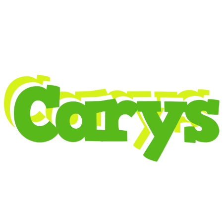 Carys picnic logo