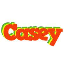 Casey bbq logo