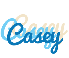 Casey breeze logo