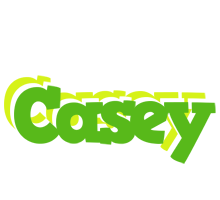 Casey picnic logo