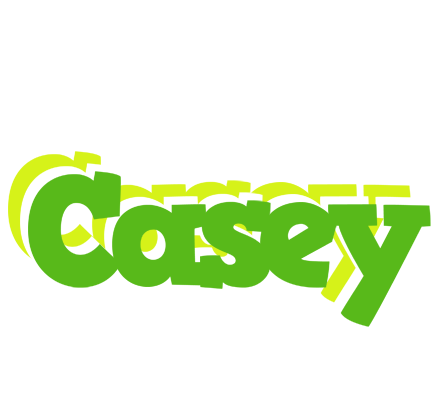 Casey picnic logo