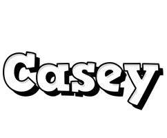 Casey snowing logo