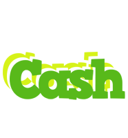 Cash picnic logo