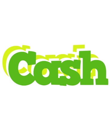 Cash picnic logo