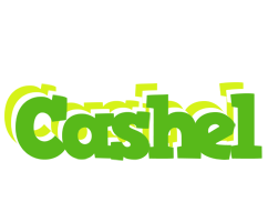 Cashel picnic logo