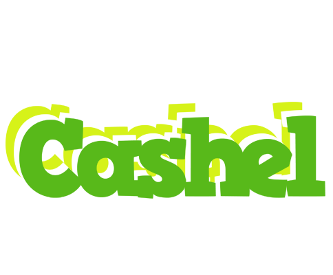 Cashel picnic logo