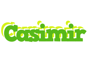 Casimir picnic logo