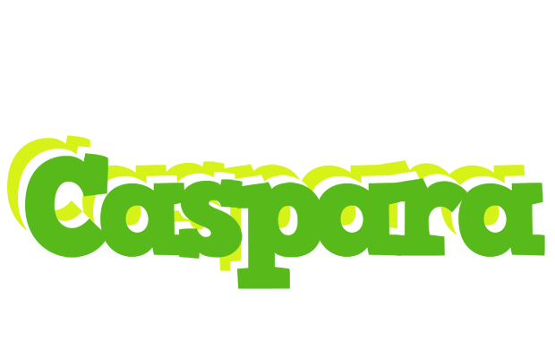 Caspara picnic logo