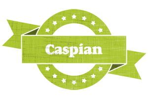 Caspian change logo