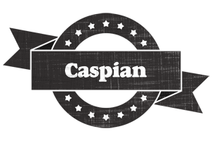 Caspian grunge logo