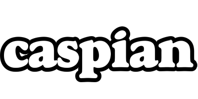 Caspian panda logo