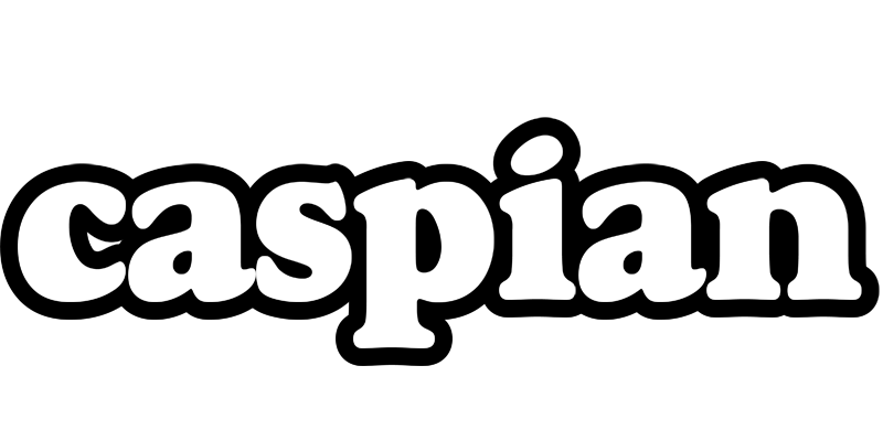 Caspian panda logo