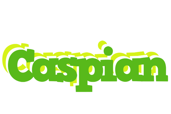 Caspian picnic logo