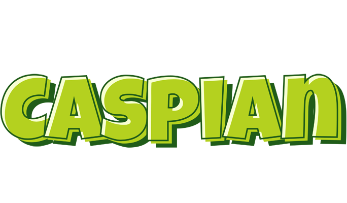 Caspian summer logo