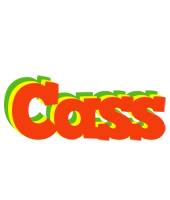 Cass bbq logo