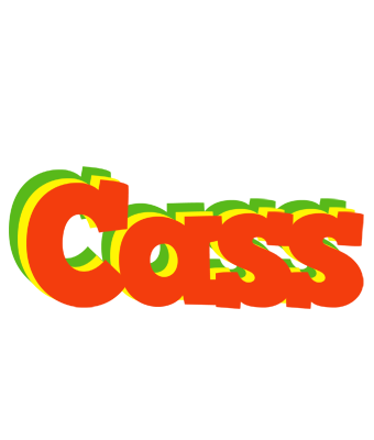 Cass bbq logo