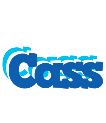Cass business logo