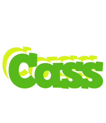Cass picnic logo