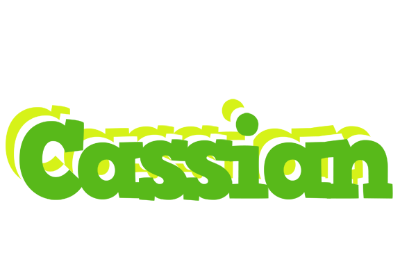 Cassian picnic logo