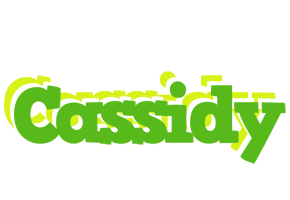 Cassidy picnic logo