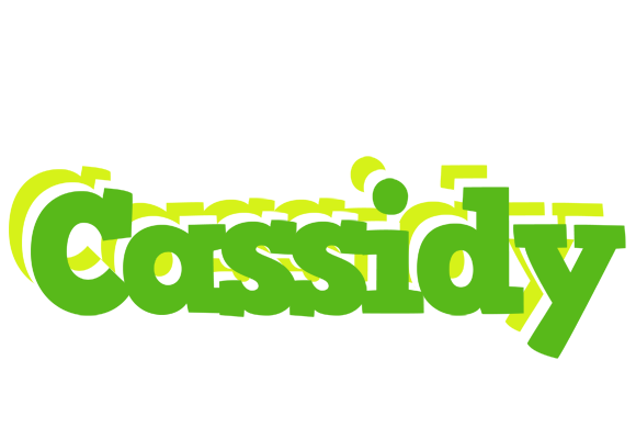 Cassidy picnic logo