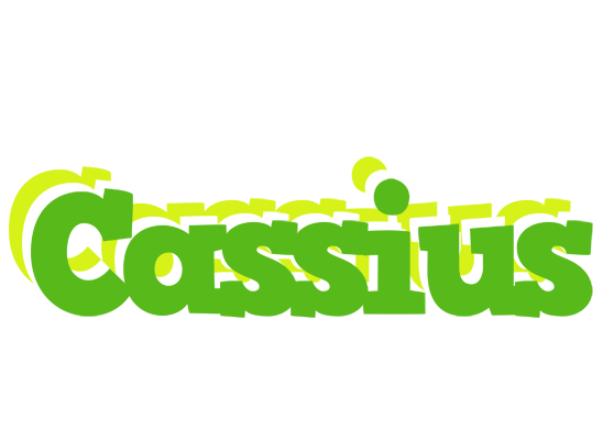 Cassius picnic logo
