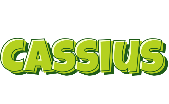 Cassius summer logo