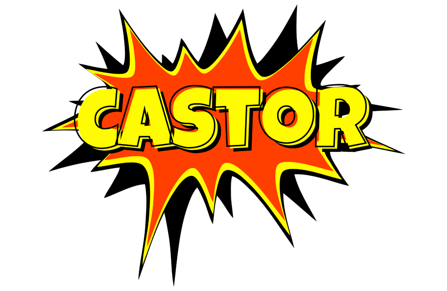 Castor bazinga logo