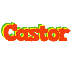 Castor bbq logo