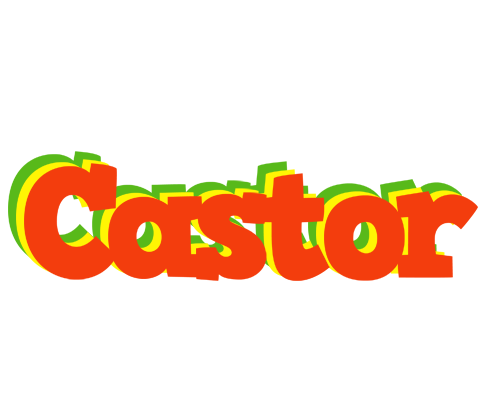 Castor bbq logo