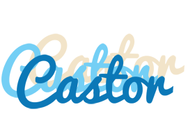 Castor breeze logo
