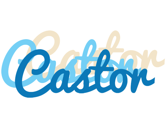 Castor breeze logo