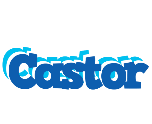 Castor business logo