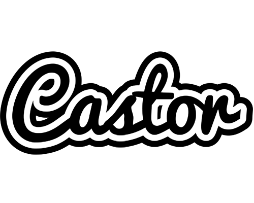 Castor chess logo