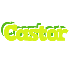 Castor citrus logo