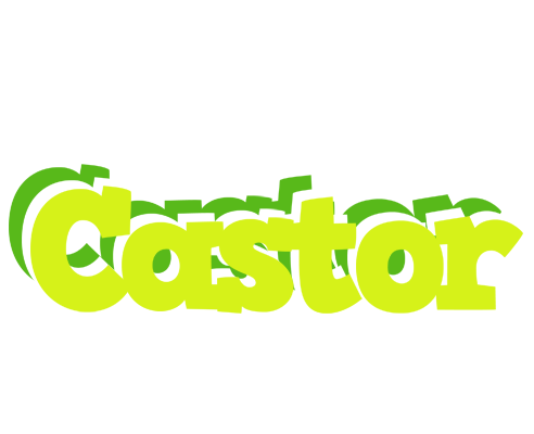 Castor citrus logo