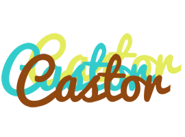 Castor cupcake logo