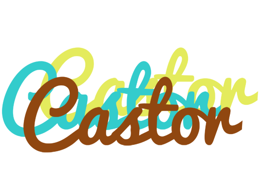 Castor cupcake logo
