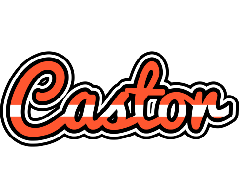 Castor denmark logo