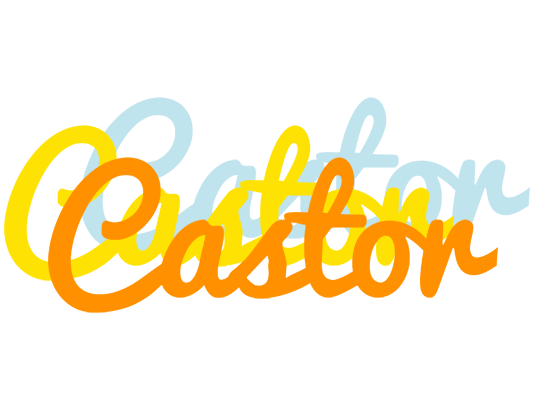 Castor energy logo
