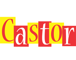 Castor errors logo