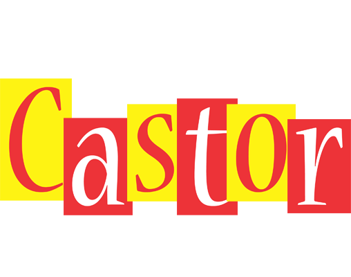 Castor errors logo