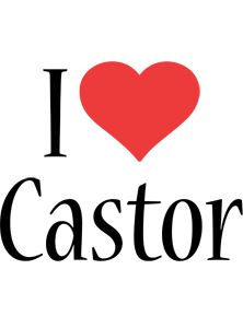Castor i-love logo